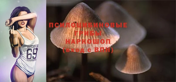 дмт Абинск