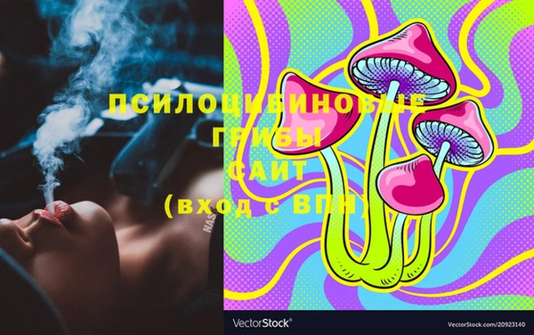 соль курить ск Новозыбков