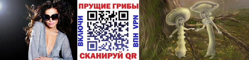 Псилоцибиновые грибы Magic Shrooms  сколько стоит  Черногорск 