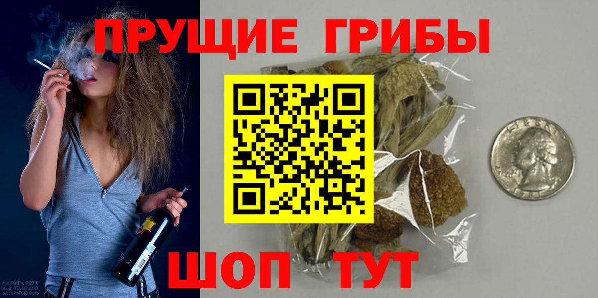 Псилоцибиновые грибы Psilocybine cubensis  Вход с VPN  Черногорск 